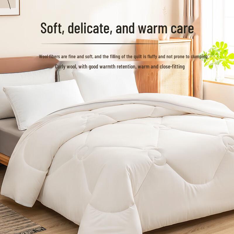 Thickened Warm Duvet Insert