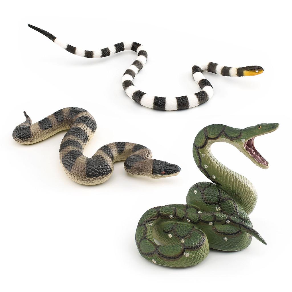 Realistic Snake Model Pvc Reptile Figure For Kids Educational Display And Decor