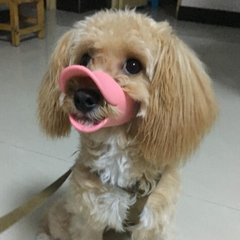 Cute Duck Bill Shape Puppy Dog Muzzles for Small Dogs Anti-bite Anti-barking Pet Face Mask Poodle Schnauzer Masoctas Accessories