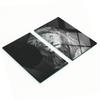Kitchen Multifunctional Decorative Boards Tempered Glass Lion 2x30x52 Cm