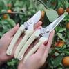 Iron Armor Angel Stainless Steel Garden Pruning Shears