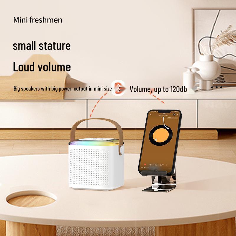 Y1 Bluetooth Wireless Children's Home KTV Microphone Speaker Set