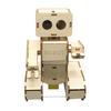 Wooden Fun Voice Activated Robot Physics Teaching Tool With Voice Control And Multiple Functions For Classroom Use