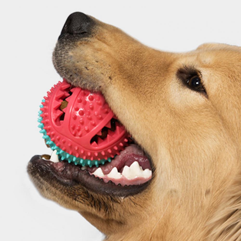 Dog Toothbrush Toy Happy Pet Bell Chew Toy Dog Chew Toys for Chewers Suction Cup Teething Rope Toy Treat Dispensing for Training