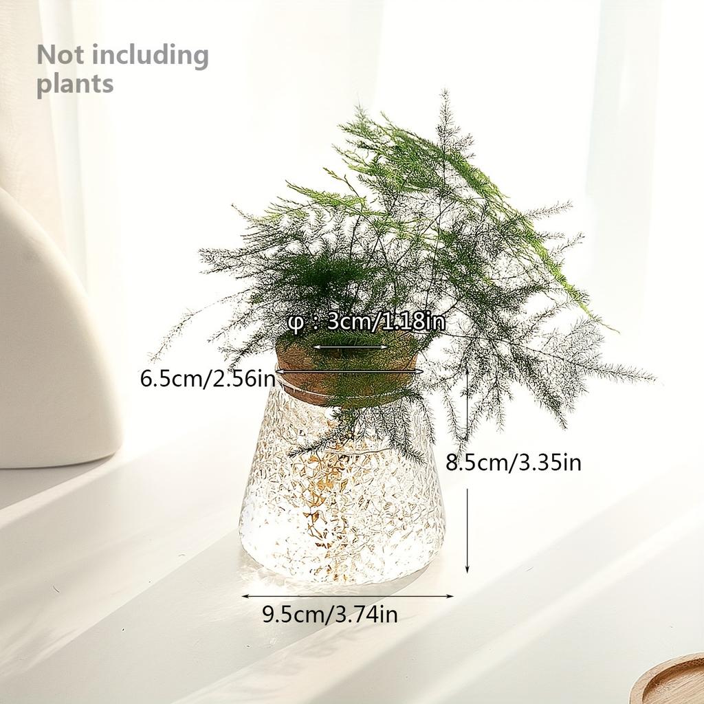 Simple modern transparent glass hydroponic plant stand vase office desktop ornament home decoration flower pot