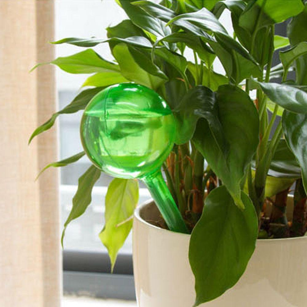 Irrigation Balls for Plants and Flowers 1 Piece