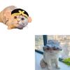 Pet Crocheted Hat Pet Birthday Headgear for Puppies and Cats Lovely Crocheted Hat Christmas Hat Comfortable Wear
