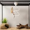 Magnetic Hanging Reptile Climbing Ring Plastic Climbing Hoop Chain Snake Climbing Toys