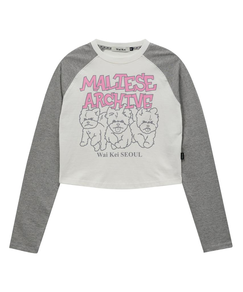 WAIKEI Maltese Archive Line Graphic Raglan Long Sleeve T-Shirt White