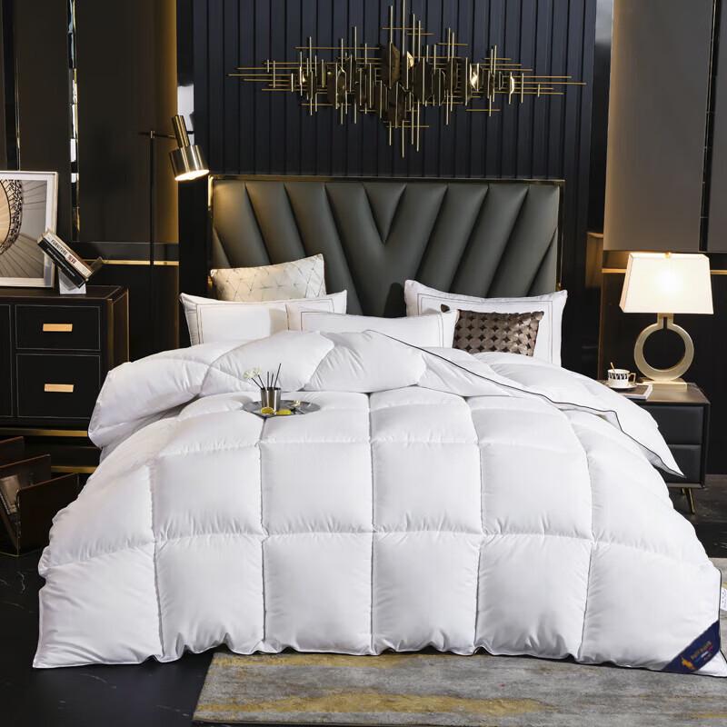 Paul David All-Season Polyester Fiber Quilt