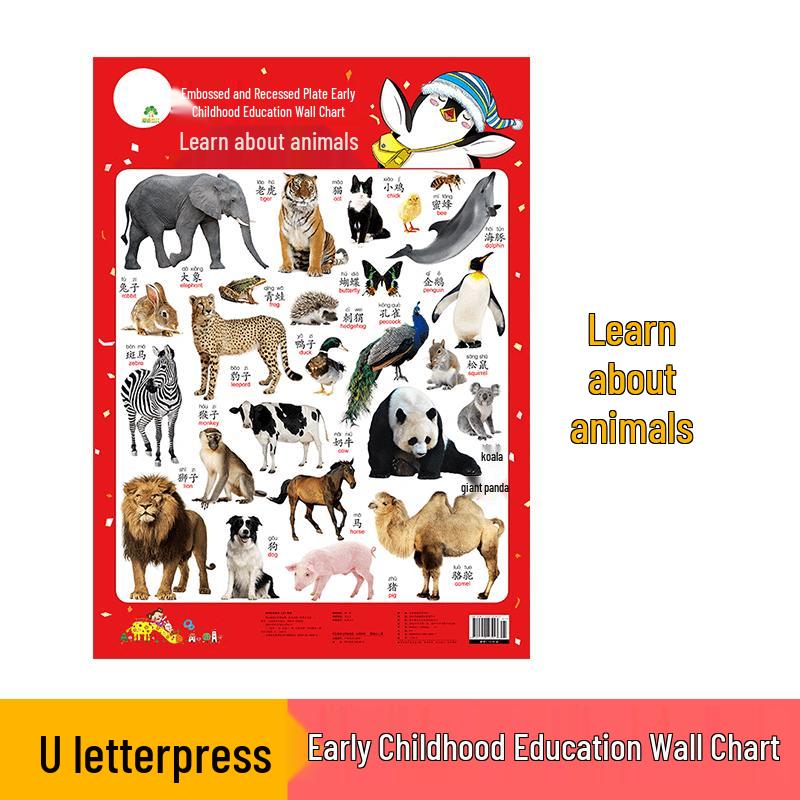 Tactile Early Learning Wall Charts Standard