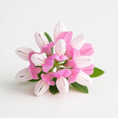 80 Seeds of Variegated Crown Vetch (Securigera Varia)