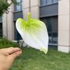 10ks Mini Anthurium Umělé Květiny Falešné Stonky Alokasie pro Svatbu Domácí Květinové Uspořádání Dekorace