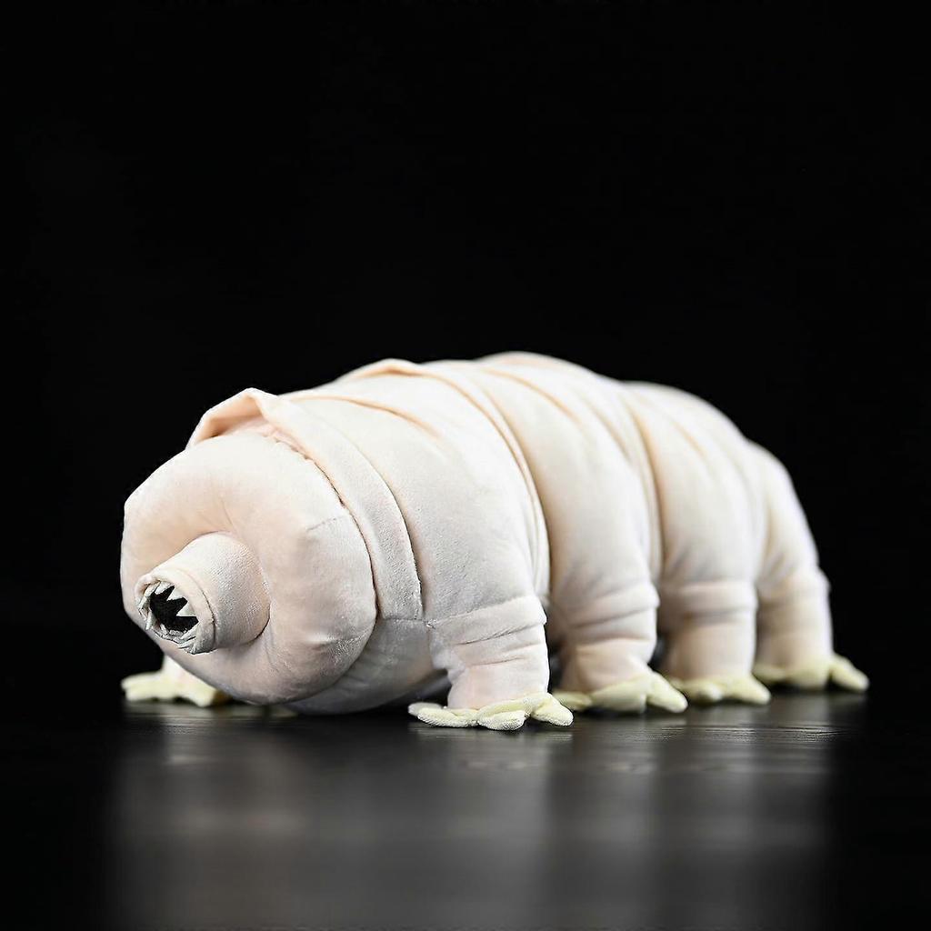 Tardigrade Plush Toy 12 Inch Realistic Water Bear Stuffed Animal for Science Lovers and Collectors