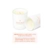 ENHYPEN ORANGE BLOOD Soy Candle