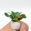 Miniature Flower Pot Garden Accessories 20PCS Dollhouse Plant Model for Toy House Photography Props and DIY Crafts