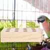 Papagaio Alimentação Mordida Mastigar Entretenimento Enriquecimento Rasgar Acessório de Gaiola Grande Médio Periquito Arara Calopsita Conure Periquito
