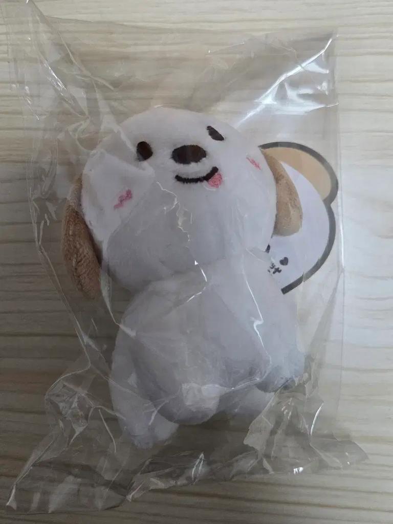 RIIZE (Unopened) Anton 10cm Doll