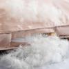 Hengyuanxiang Luxury Goose Down Comforter