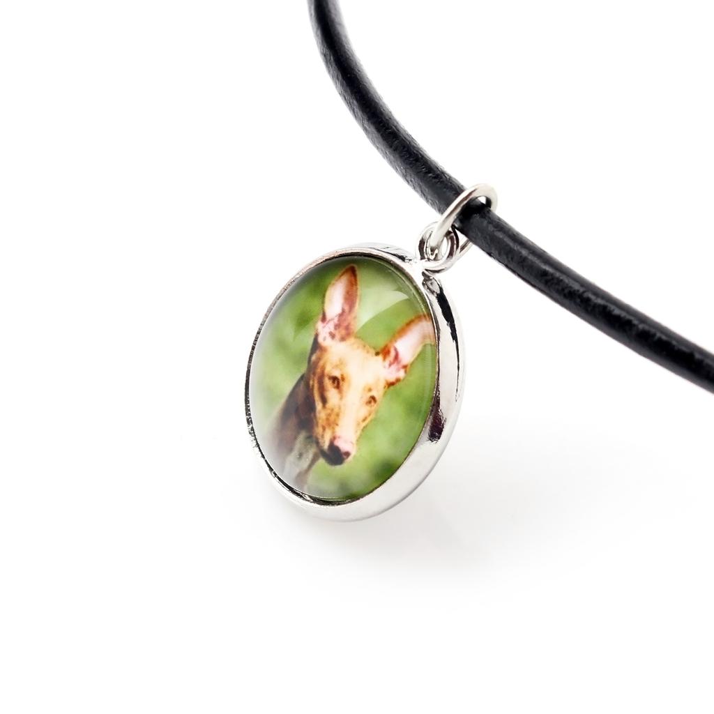 Pharaoh Hound, Kelb tal-Fenek – A set of jewelry with your photo, handmade set | Art-Dog