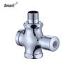 Ansell Brass Manual Flush Valve for Squat Toilet
