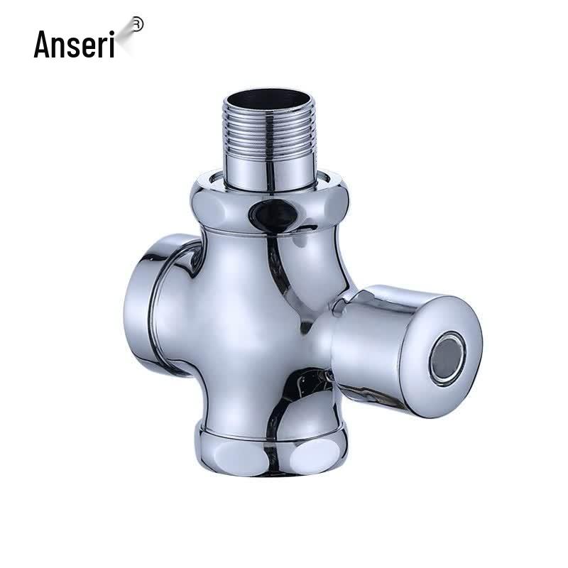 Ansell Brass Manual Flush Valve for Squat Toilet