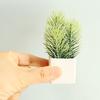 Dollhouse Green Plant Simulated Portable Ceramic Dollhouse Miniature Pine Branches for 1/6 Doll House