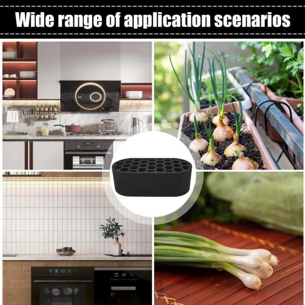 Plants Growing Scallion Regenerator Hydroponic Growing Tray Seedlings Starter Tray Home