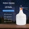 Rechargeable Outdoor LED Camping Light - Portable Emergency Bulb