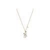 DIOR X Cactus Jack Pendant Necklace N1639HOMMT