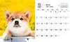 Shiba Inu Weather mini (Impress Calendar 2022)