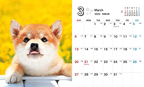 Shiba Inu Weather Mini (Impress Calendar 2022)