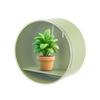 Storage Box Wall Mounted Display Rack Dust-Proof Anti-Moisture Organizer No Drill Needed Container for Small Apartments Dorms