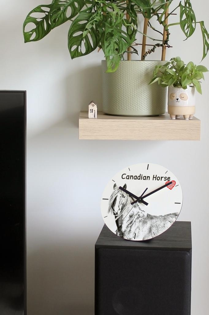 Canadian Horse – Wall clock with a horse, shelf clock with a print | Art-Dog