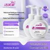 Jiefurou PuTai Foaming Antibacterial Hand Wash