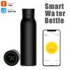 Smart Heat Cup LCD Temperature Display Water Consu APP Gadgets Motion Record Bottle Work With Smart Life/Tuya