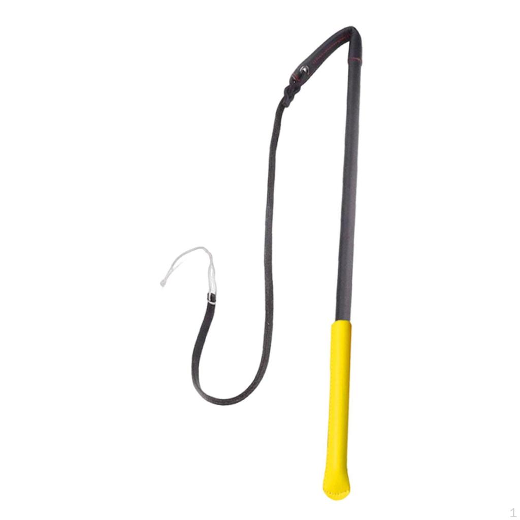 Dog Training: Obedience Training, Exercise, Discipline, Behavior Training with The - Strum