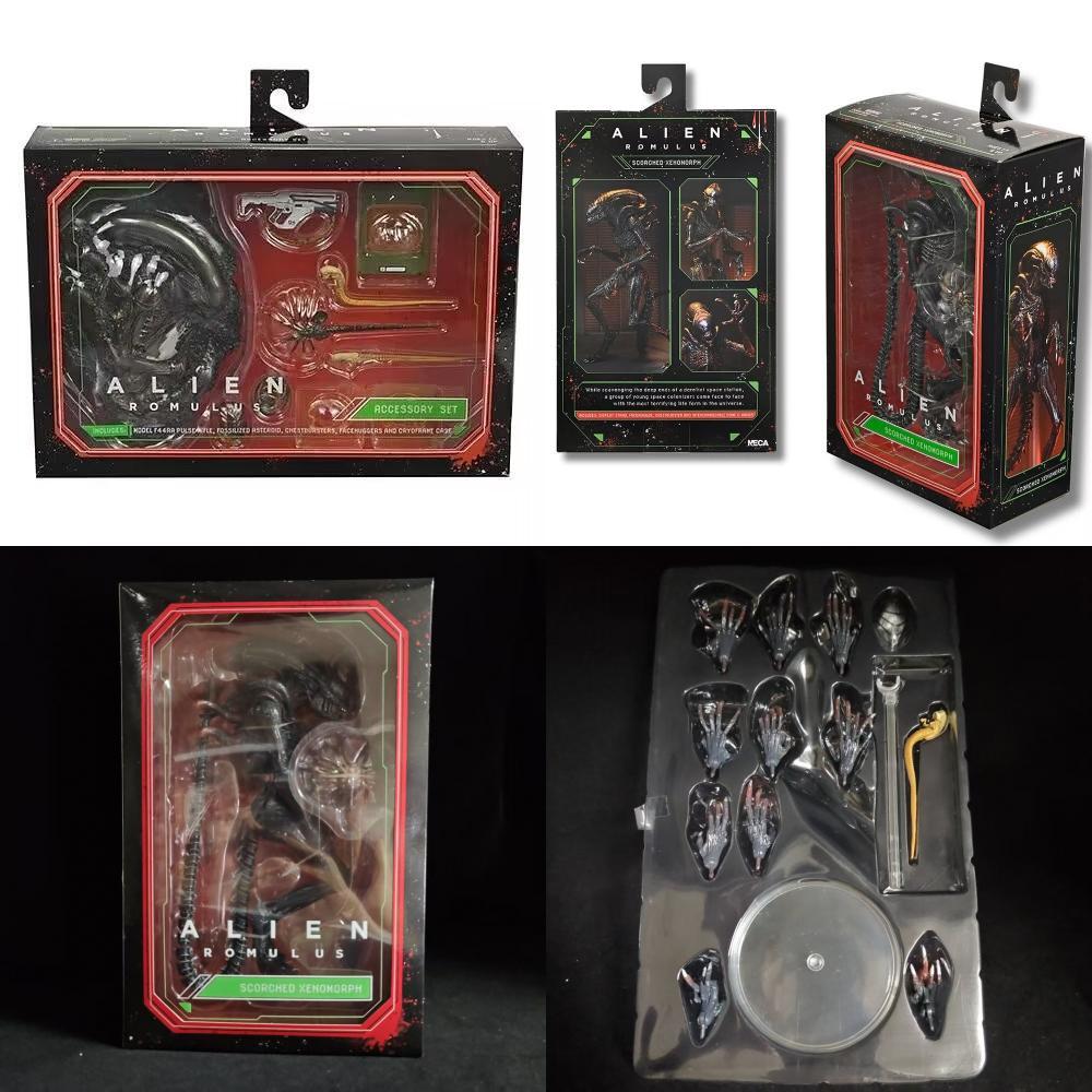 Figurine d'action Romulus Alien Avec Articulations Mobiles Et Accessoires Pour Collectionneurs