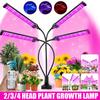Desktop 2/3/4 Head USB-5V LED Grow Light Full Spectrum Plant Light with 360 Degrees Flexible Clip LED Plant Growth Light New