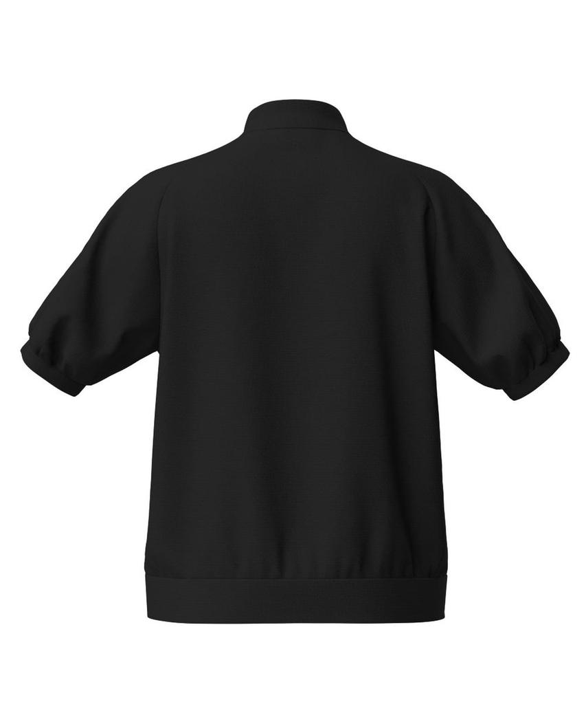 Short Sleeve High Neck Shirt Golf S [Pin Apparel] Women's (Brand Logo) / / 622-4267800 010_Black