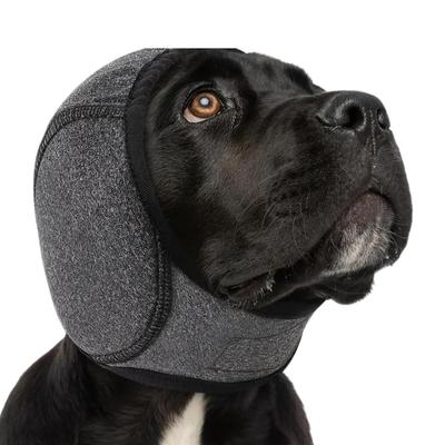 Roupa e sapatos – Acessórios para cães
