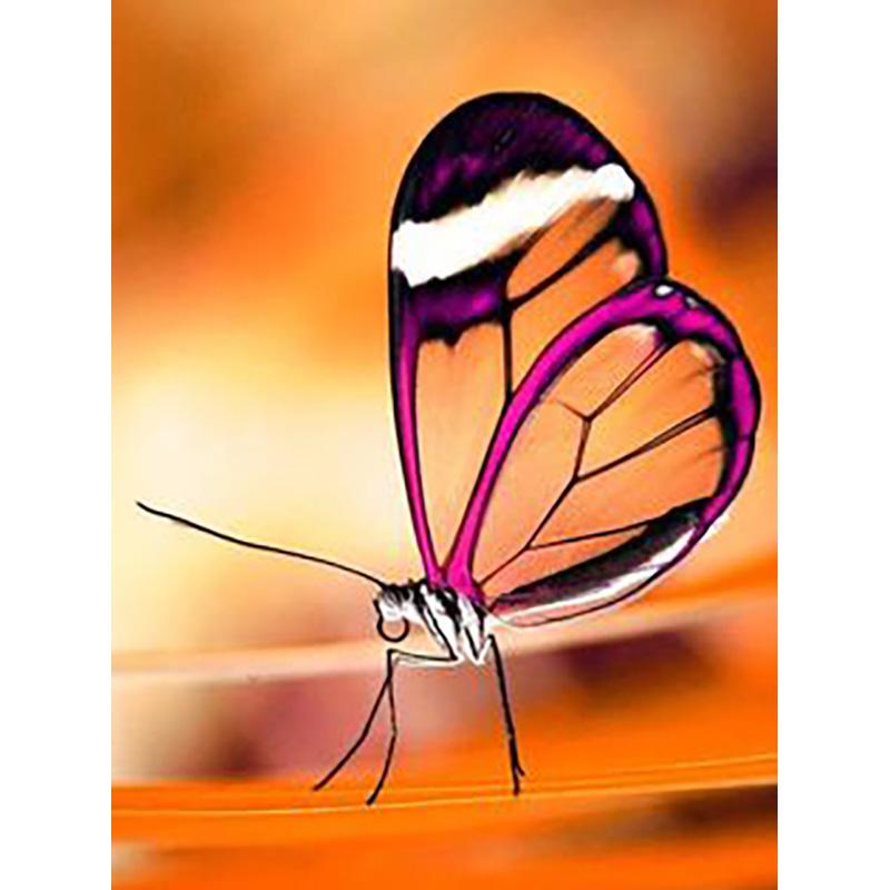 DIY 5D Diamond Painting Butterfly Full Round Drill Floral Diamond Embroidery Cross Stitch Mosaic Wall Art Home Decor Gift