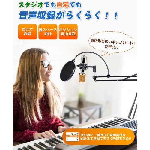 Microphone Stand/Arm [2kg Weight Capacity] for Condenser Microphones, Desktop Microphone Stand, Extendable Desk Arm, Perfect for Live Commentary, Stre