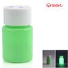 20g Fashion Bright DIY Craft Luminous Paint Acrylic Glow In The Dark Pigment