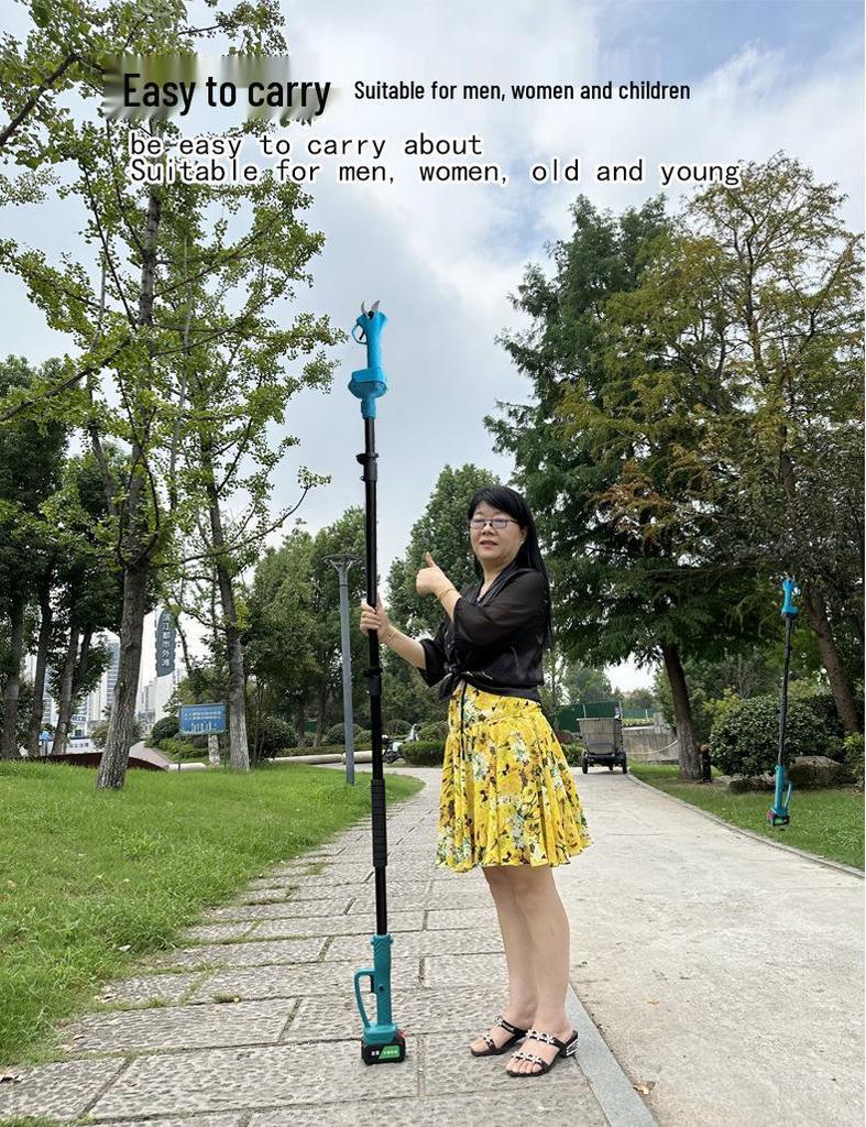 Telescopic Electric Brushless High Branch Pruner Saw for Horticulture and Fruit Trees