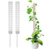 Indoor Plant Pot Stand Green Dill Vine Garden Accessories Plant Climbing Frame Plant Trellis Supporting Stick Plastic Moss Pole