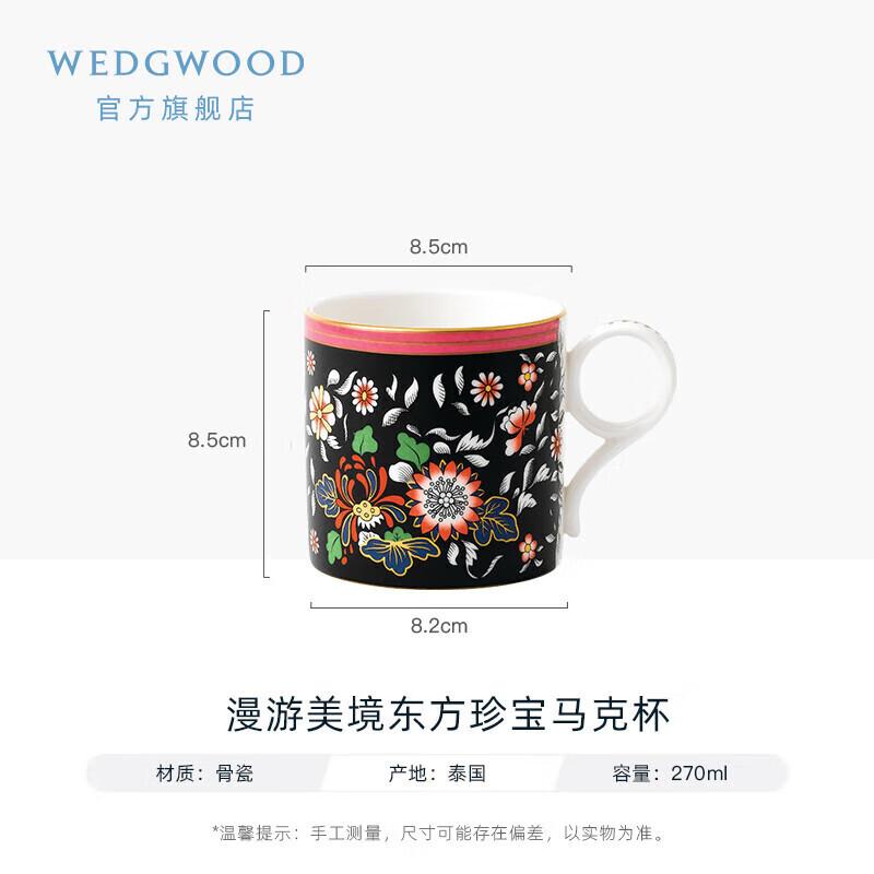 Wedgwood Wanderlust Oriental Jewel Mug