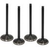 Intake Exhaust Valve Kit for Honda TRX450R 2006-2009 TRX450ER 2006-2014 CRF450R 2007-2008