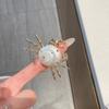 Metallic Texture Ocean Animal Jewelry Adjustable Shell Ring Stacked Ring  Artistic Occasion