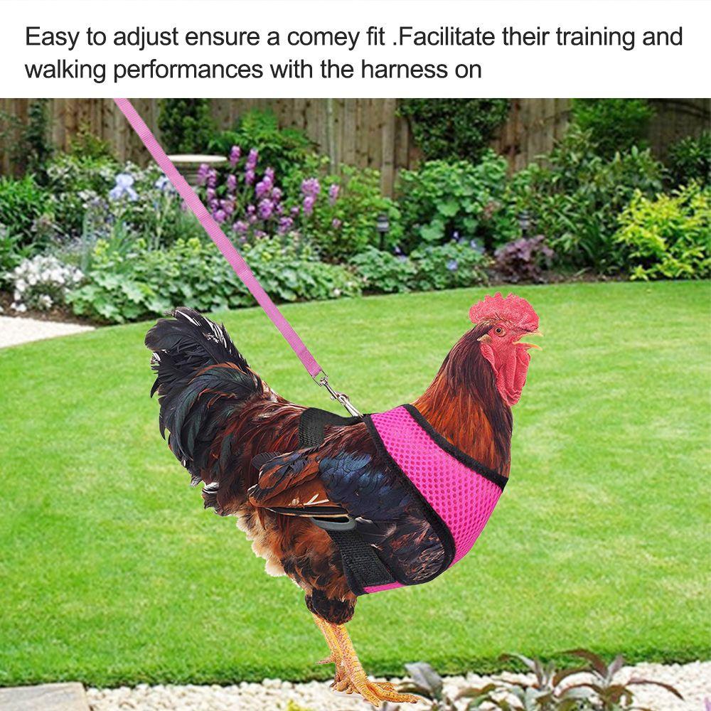Nylon Duck Goose Poultry Supplies Hen Belt Chicken Vest Harness Pet Matching Collars Bow